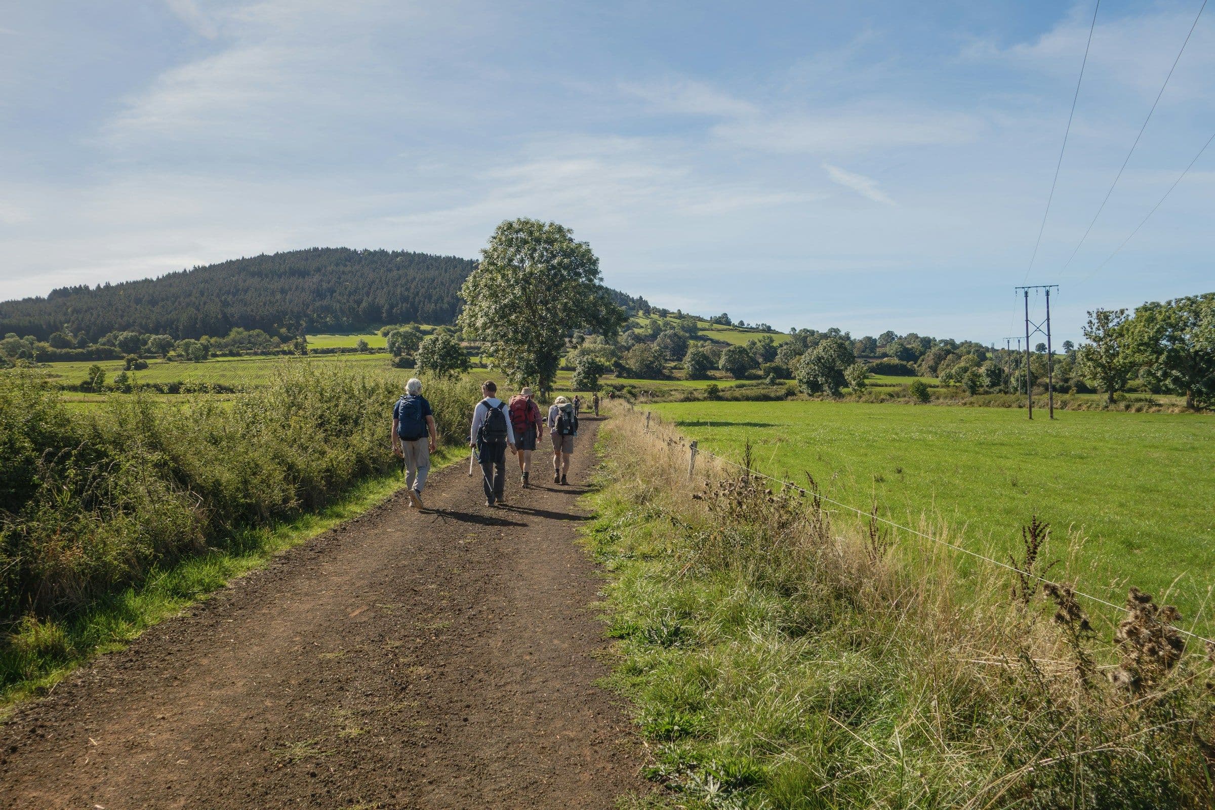 Hikers walking along a dirt path through green fields.